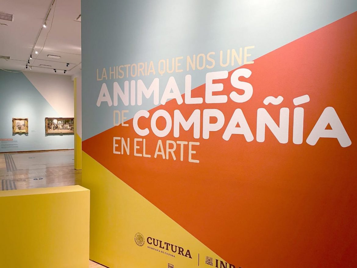 Defrag.mx Podcast Espacio CULT Animales de compañía en el Arte